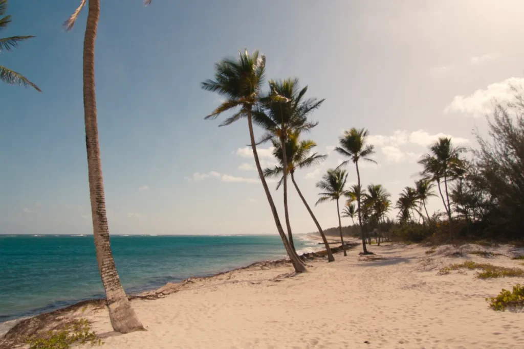 Punta Cana